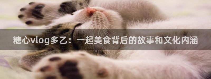 糖心91vlog:糖心vlog多乙:一起
