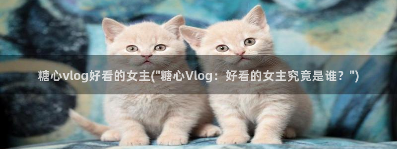 糖心vlog客服:糖心vlog好看的女主