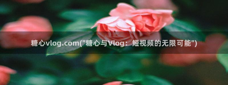 糖心vlog共享账号:糖心vlog.co