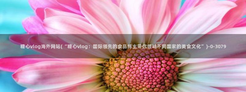 糖心vlog开车视频:糖心vlog海外网