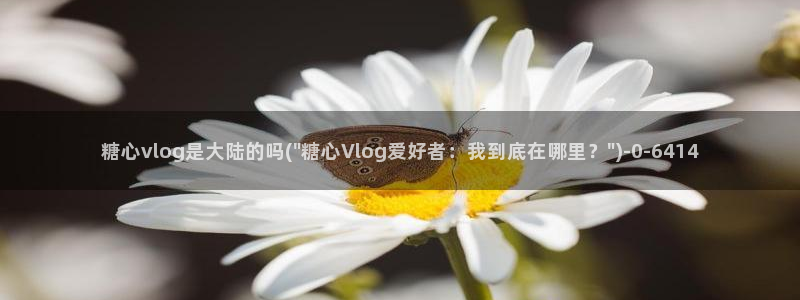 糖心vlog高清:糖心vlog是大陆的吗